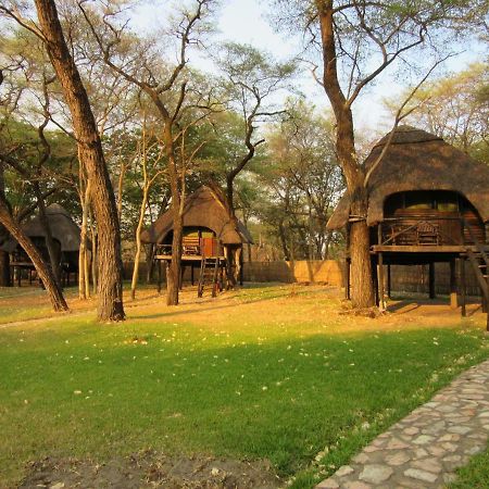 The Tree Lodge At Sikumi Dete 외부 사진