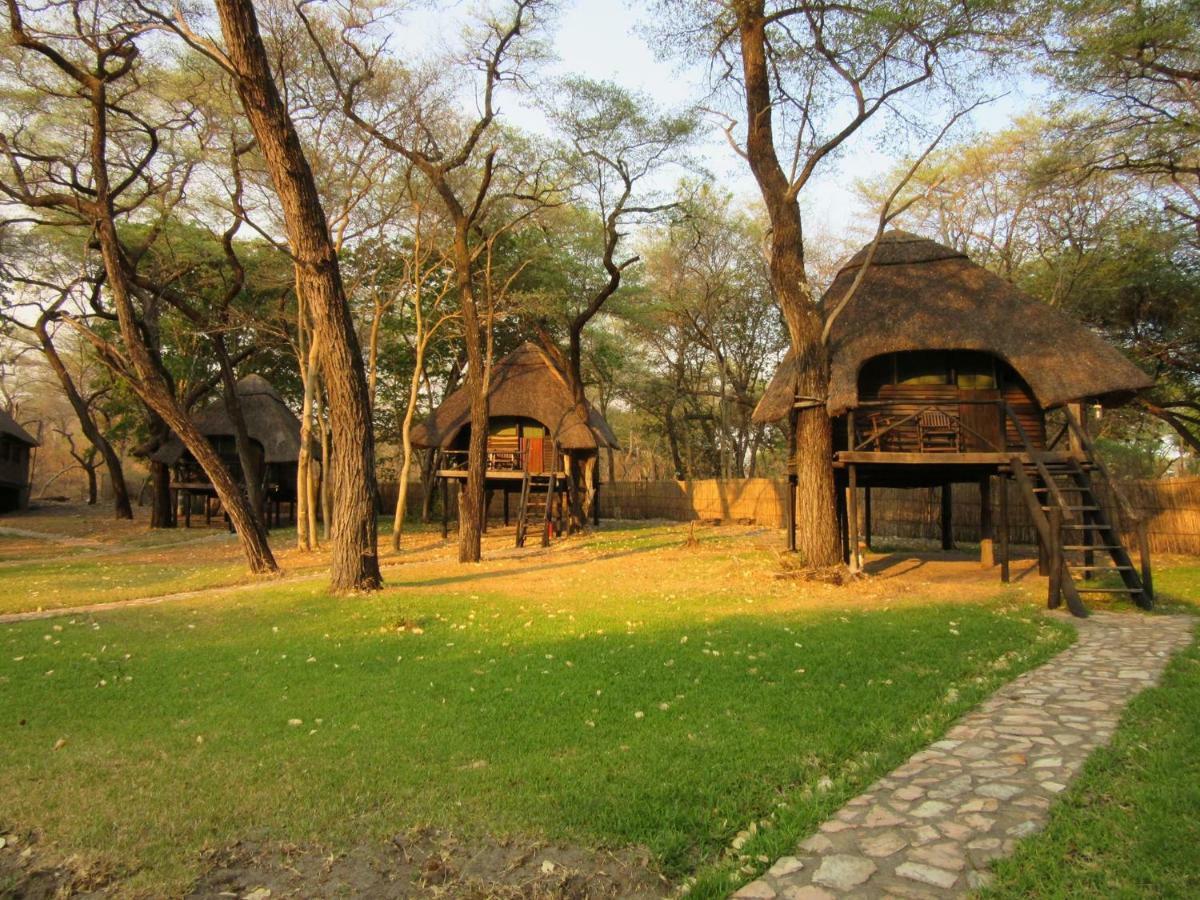 The Tree Lodge At Sikumi Dete 외부 사진