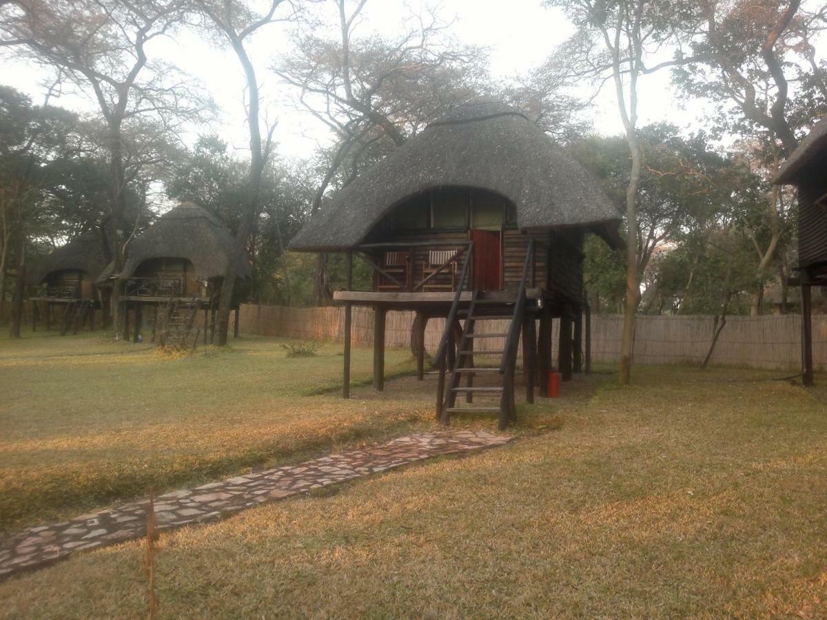 The Tree Lodge At Sikumi Dete 외부 사진