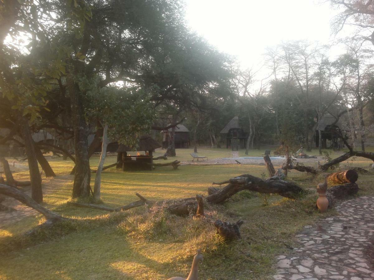 The Tree Lodge At Sikumi Dete 외부 사진