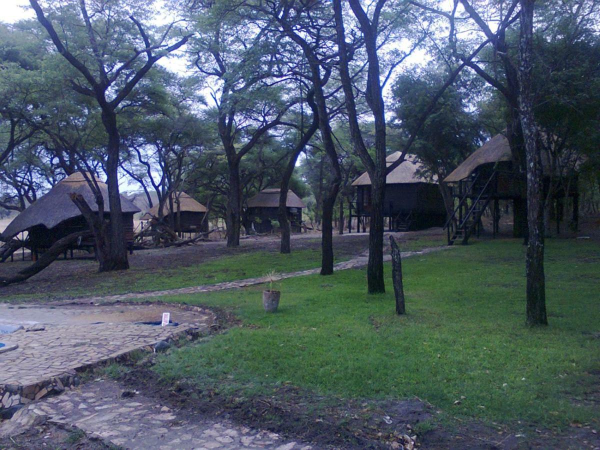 The Tree Lodge At Sikumi Dete 외부 사진