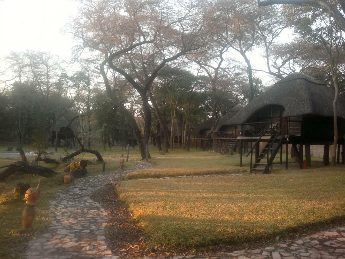 The Tree Lodge At Sikumi Dete 외부 사진