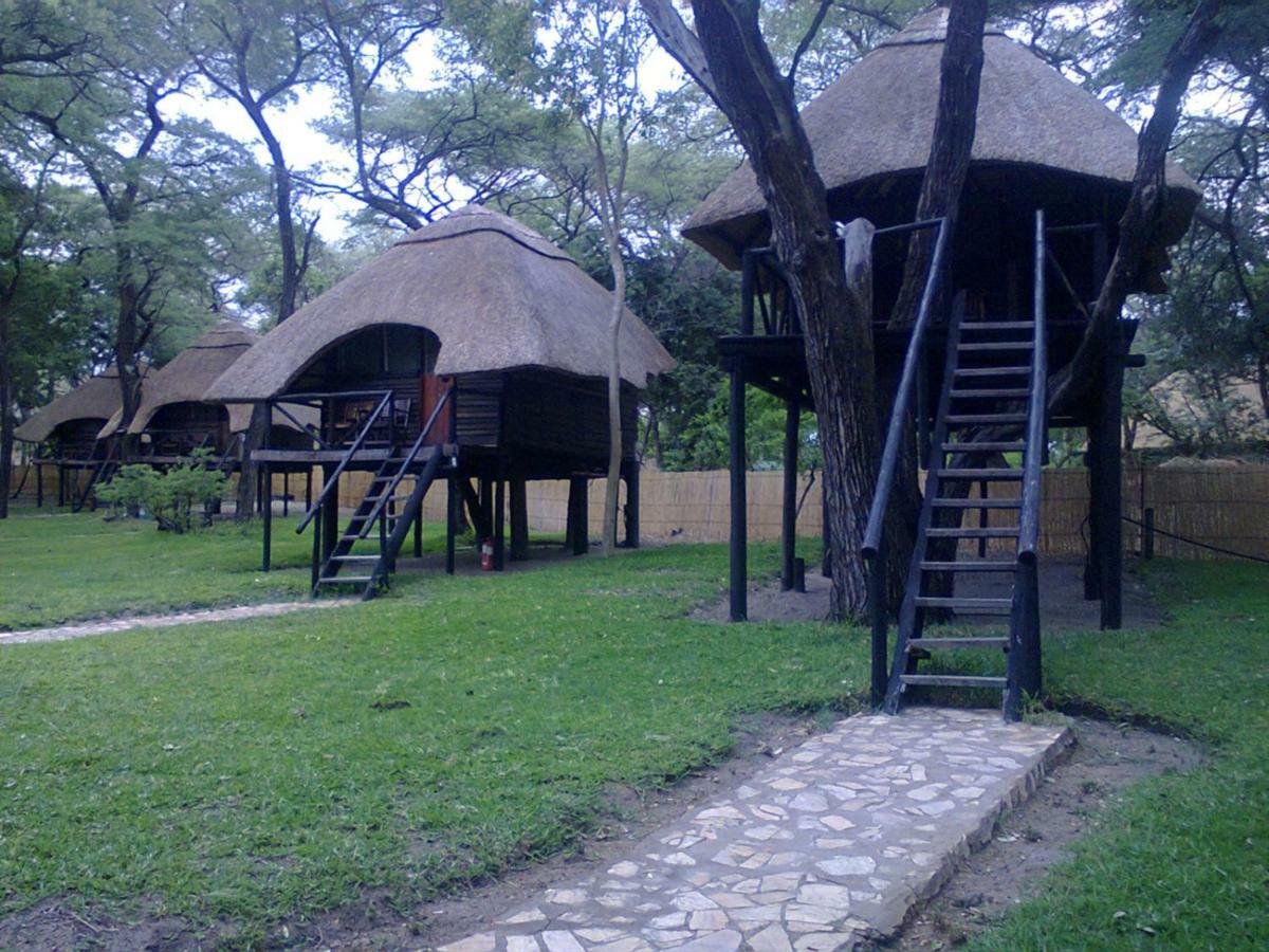 The Tree Lodge At Sikumi Dete 외부 사진